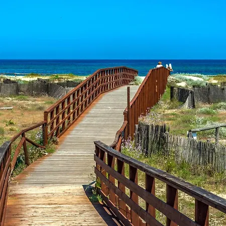 Corallo Sardegna Posada (Sardinia)