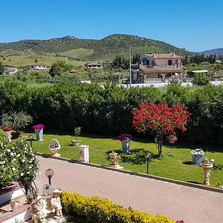Corallo Sardegna