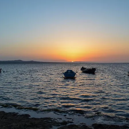 Corallo Sardegna Posada (Sardinia)