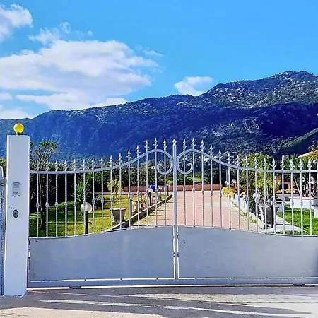 Corallo Sardegna Posada (Sardinia)
