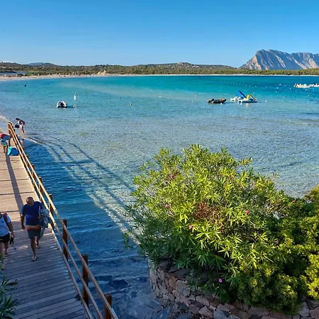 Corallo Sardegna *